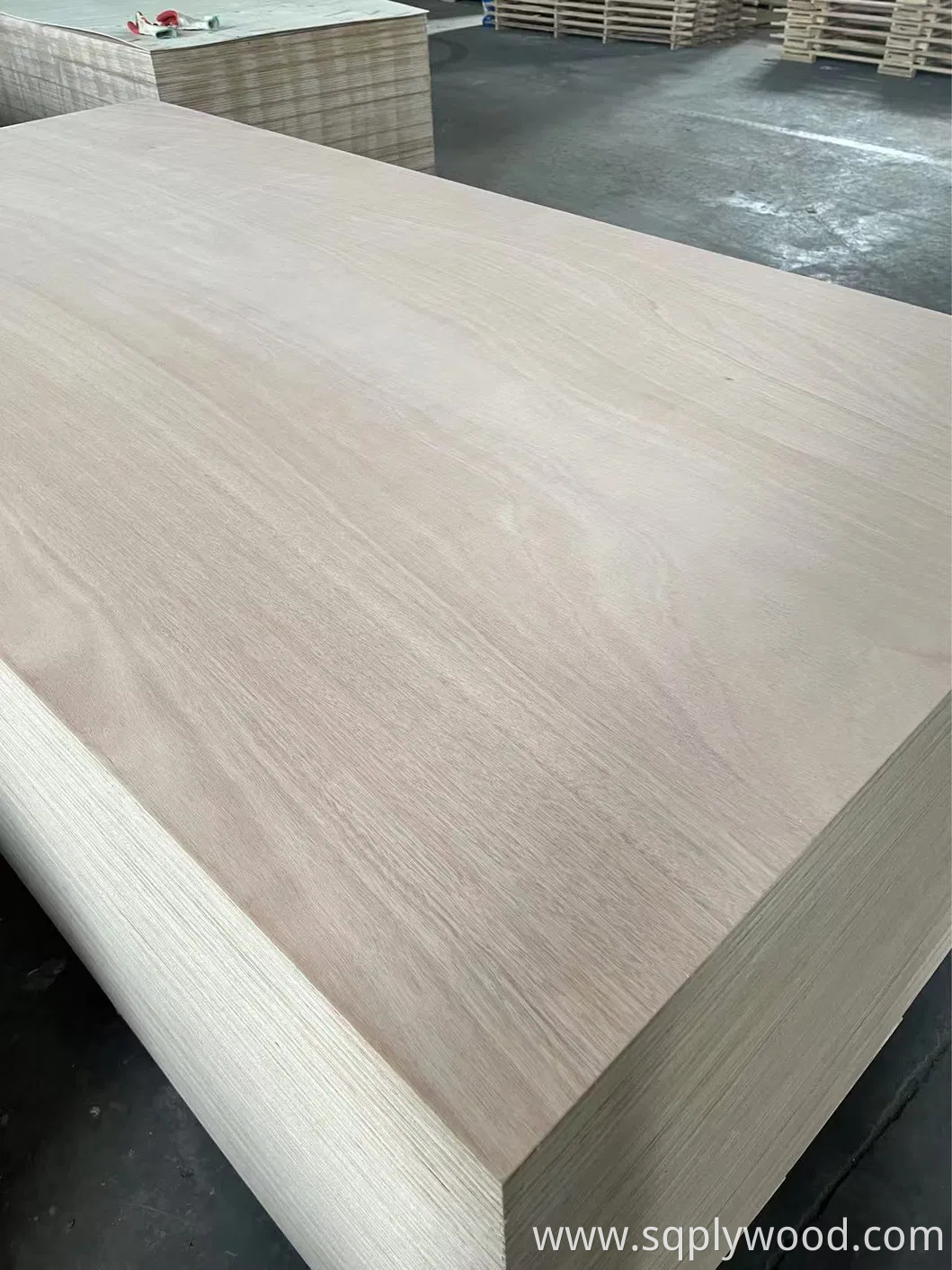 9/12/18mm Melamine Film Faced Poplar Pine Birch Marine Laminated Veneer Shuttering Plywood